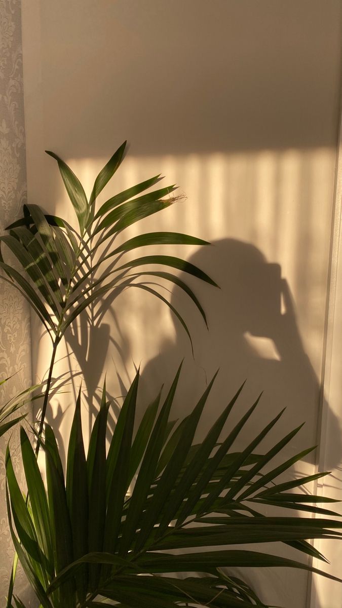 3e501c7a179db7e2bf7c61971bfe7c37